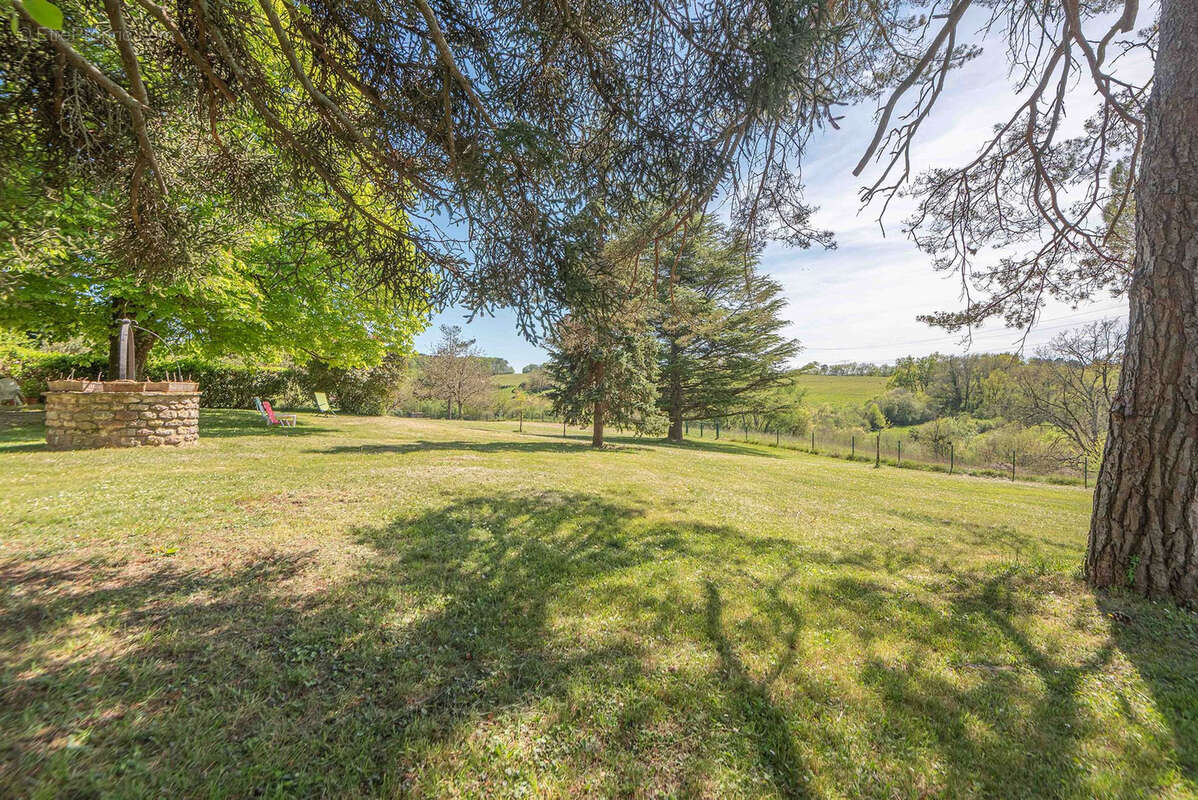 Ancien chateau viticole - potentiel 585 m2 surface habitable - 7 hectares - photo 2