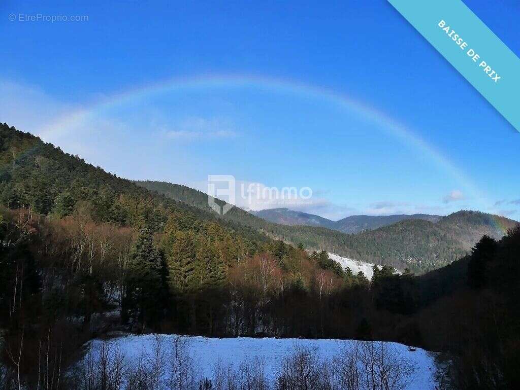 Immeubles 5000 m2 sur 4 ha Murbach - photo 5
