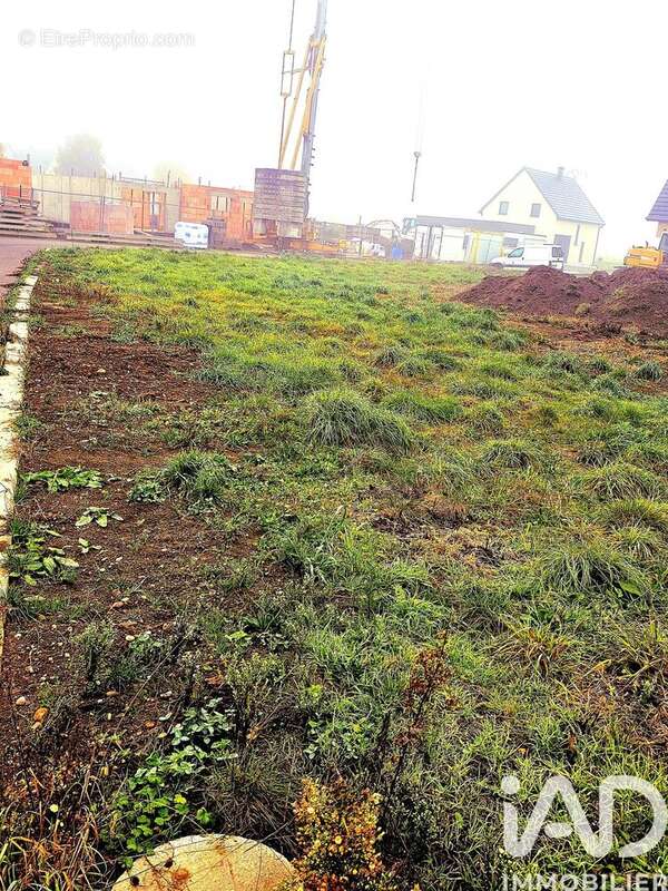 Photo 3 - Terrain à OBERHERGHEIM