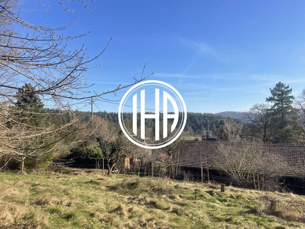 Terrain à THANNENKIRCH
