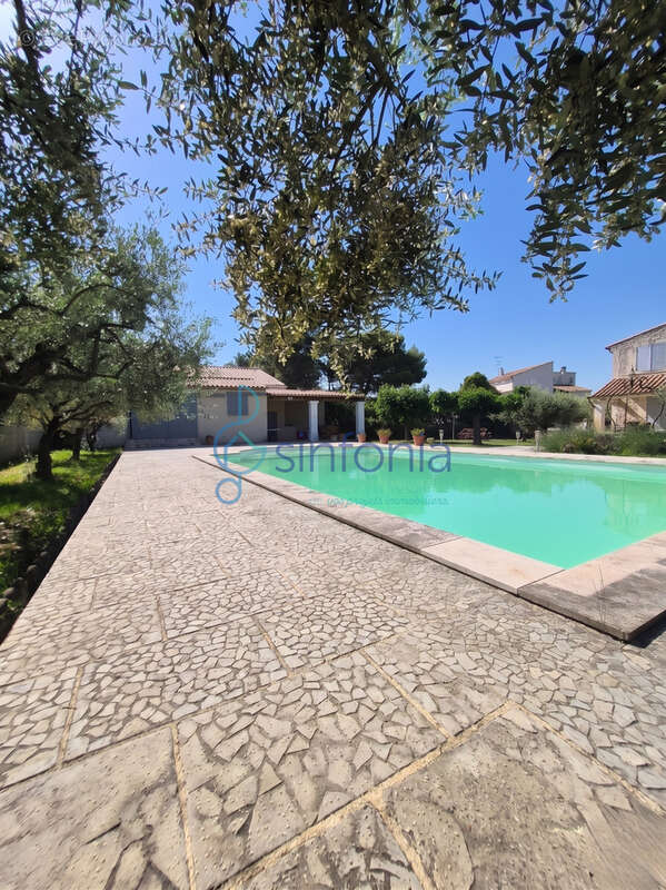 Propriété d'exception (235 m2) avec dépendance, piscine et forage - saint-geniès-de-malgoires - photo 4