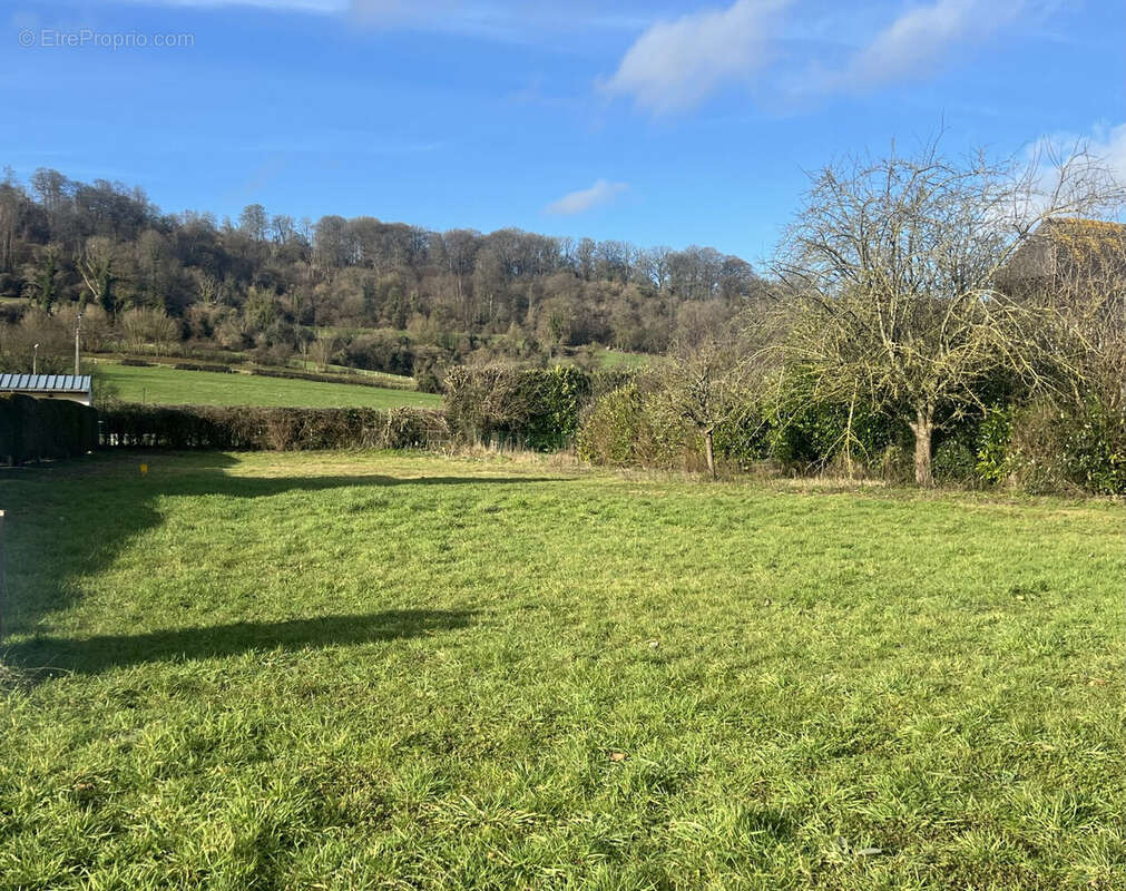 Terrain à TORCY-LE-GRAND