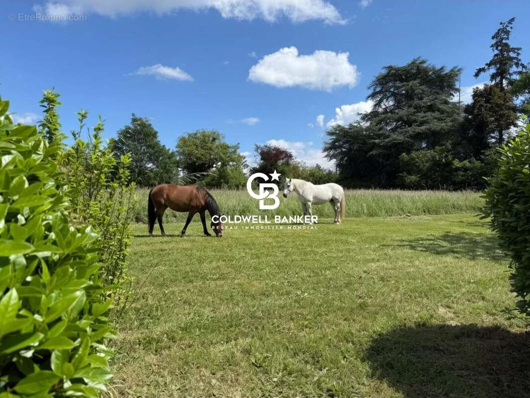 Maison à SAINT-CYR-SUR-LOIRE