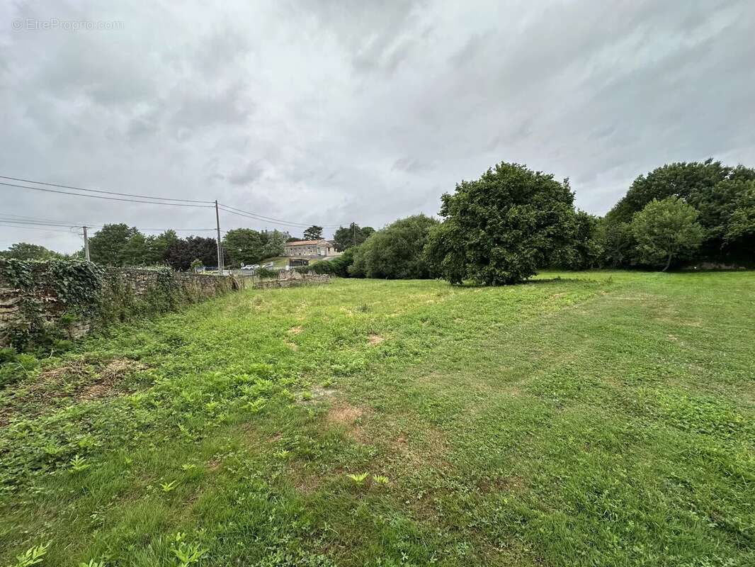 Terrain à SAINTE-VERGE