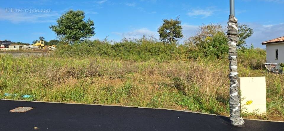 Terrain à L'ISLE-JOURDAIN