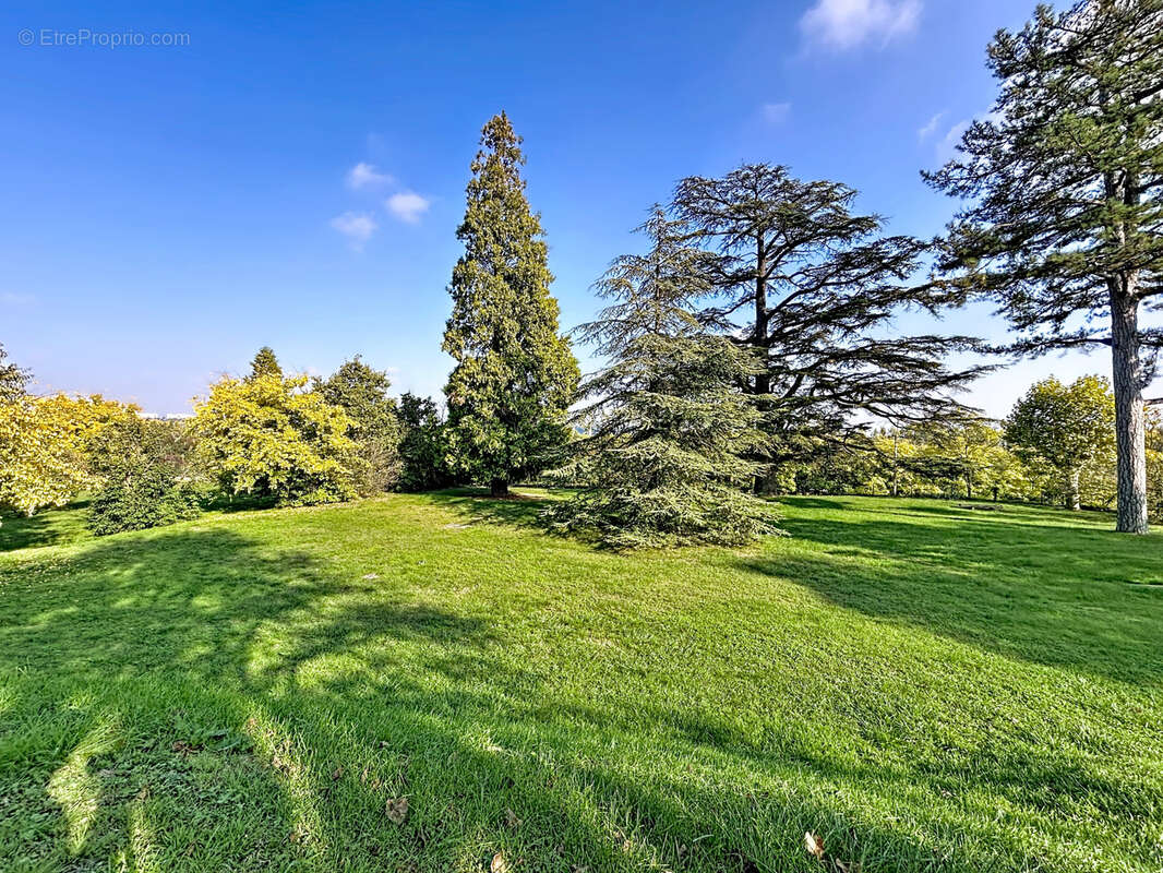 Appartement à IRIGNY