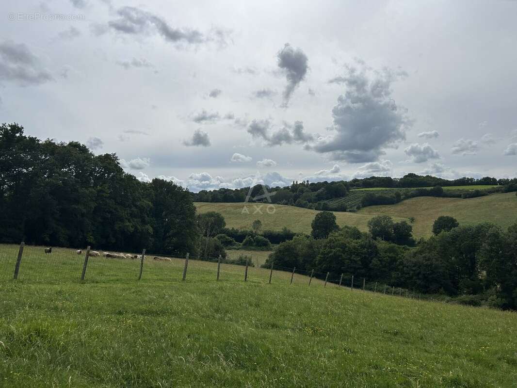 Bergerie avec terres agricoles à proximité immédiate de NOGENT LE ROTROU - photo 8