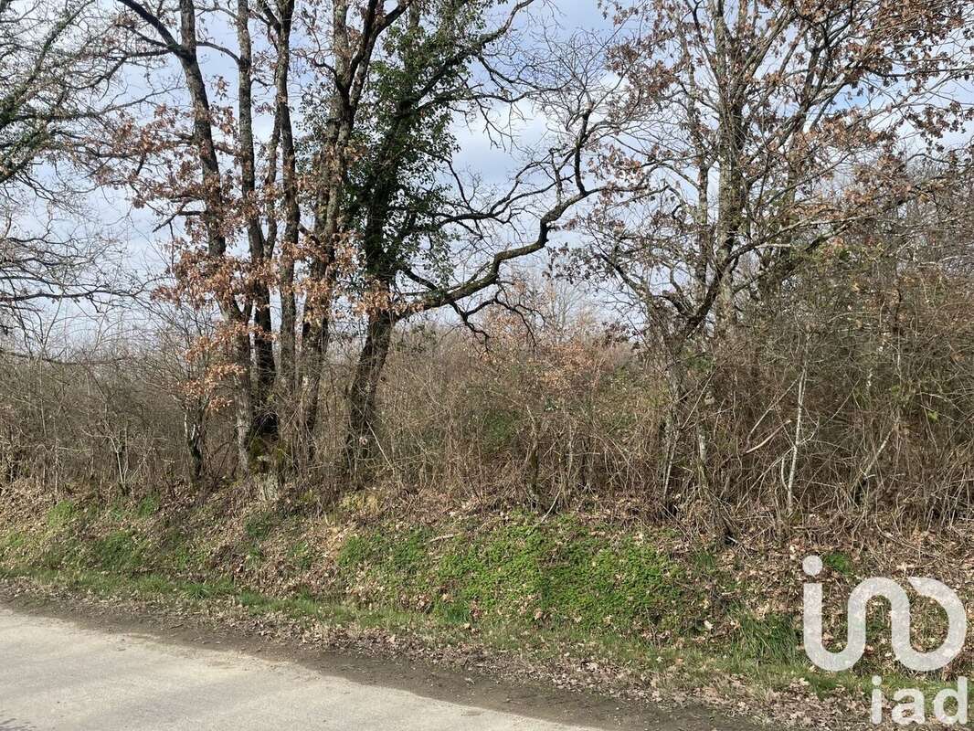 Photo 3 - Terrain à DUNET
