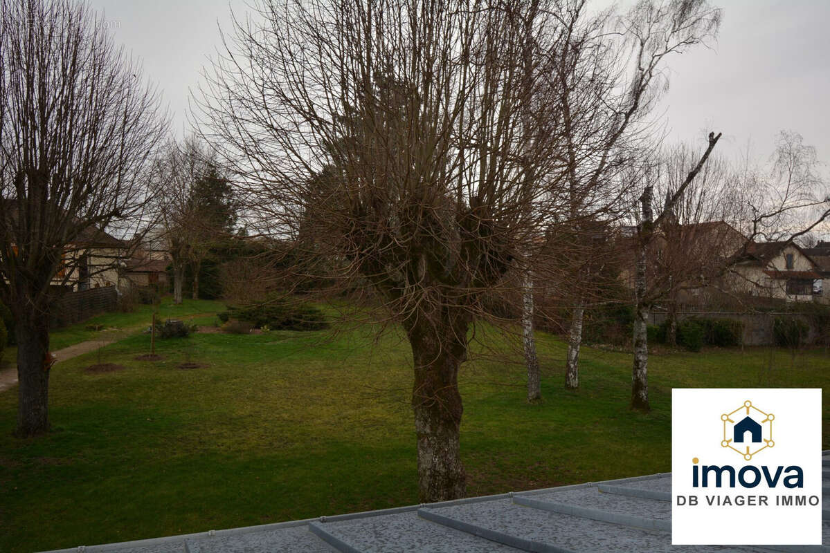 Parc - Maison à COSNE-D'ALLIER