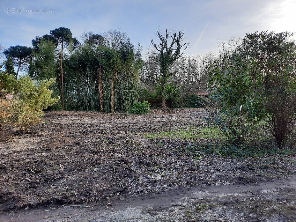 Terrain à GRADIGNAN