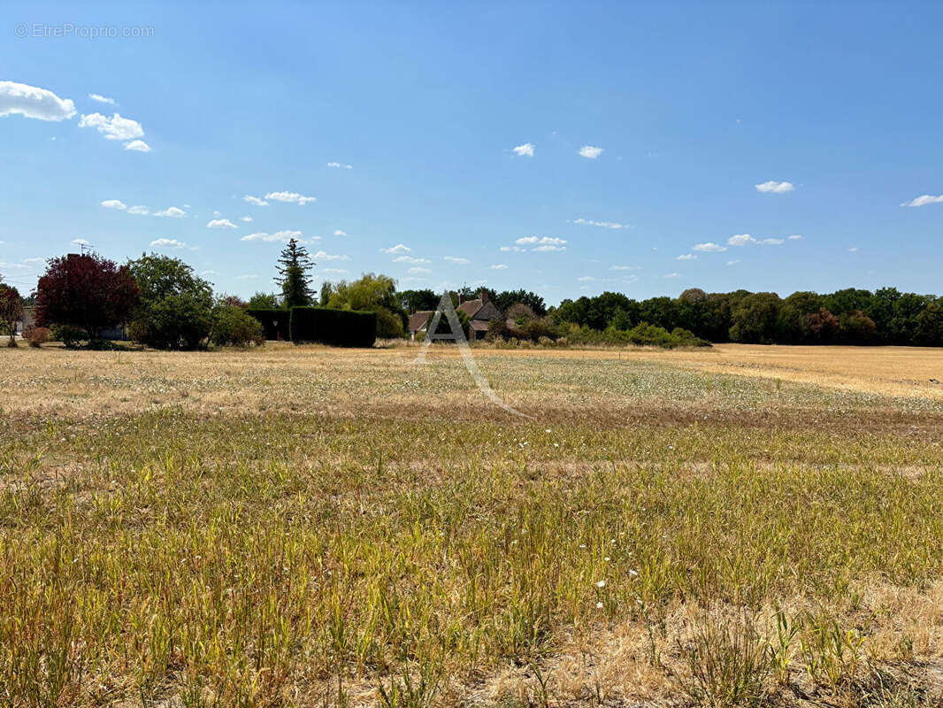 Terrain Chemery  3410 m² - photo 3