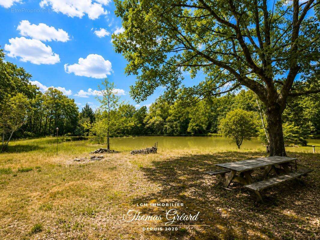 Terrain de loisirs 19 969 m² avec étang de pêche à Mur-de-Sologne - photo 4