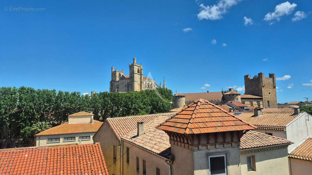 Appartement T3 77m², vue cathédrale, cave - photo 5