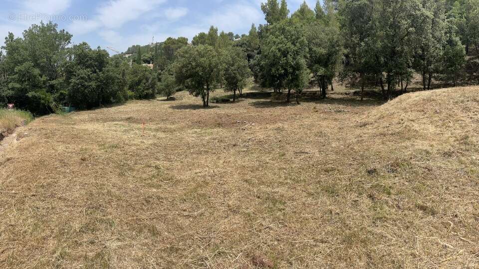 Terrain 1020 m² à Taradeau  - photo 3
