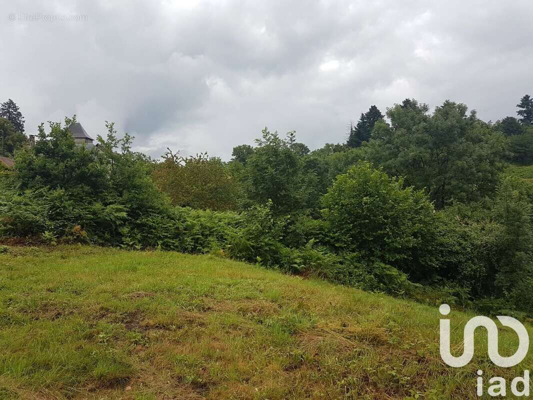 Photo 3 - Terrain à BEAUMONT