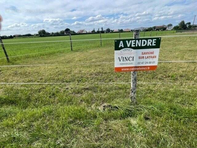 Terrain à SAVIGNE-SUR-LATHAN