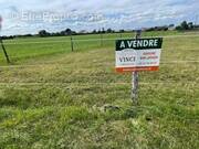 Terrain à SAVIGNE-SUR-LATHAN
