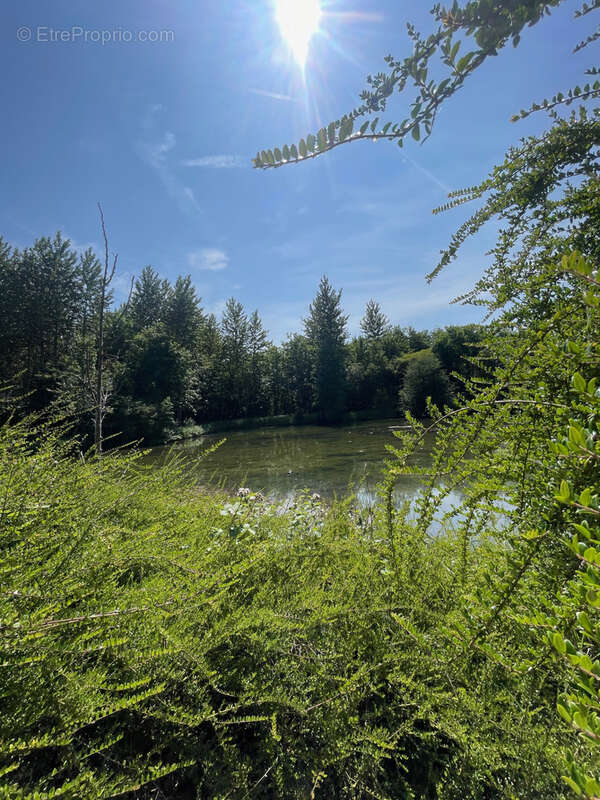 Terrain à FLIXECOURT