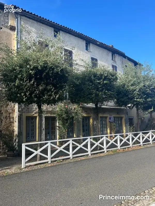 Immeuble de rapport - Local commercial - 2 appartements - 343m2 - photo 1