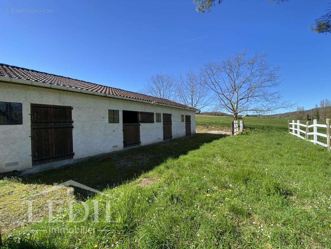 Maison gasconne 5 chambres 5 hectares - photo 3