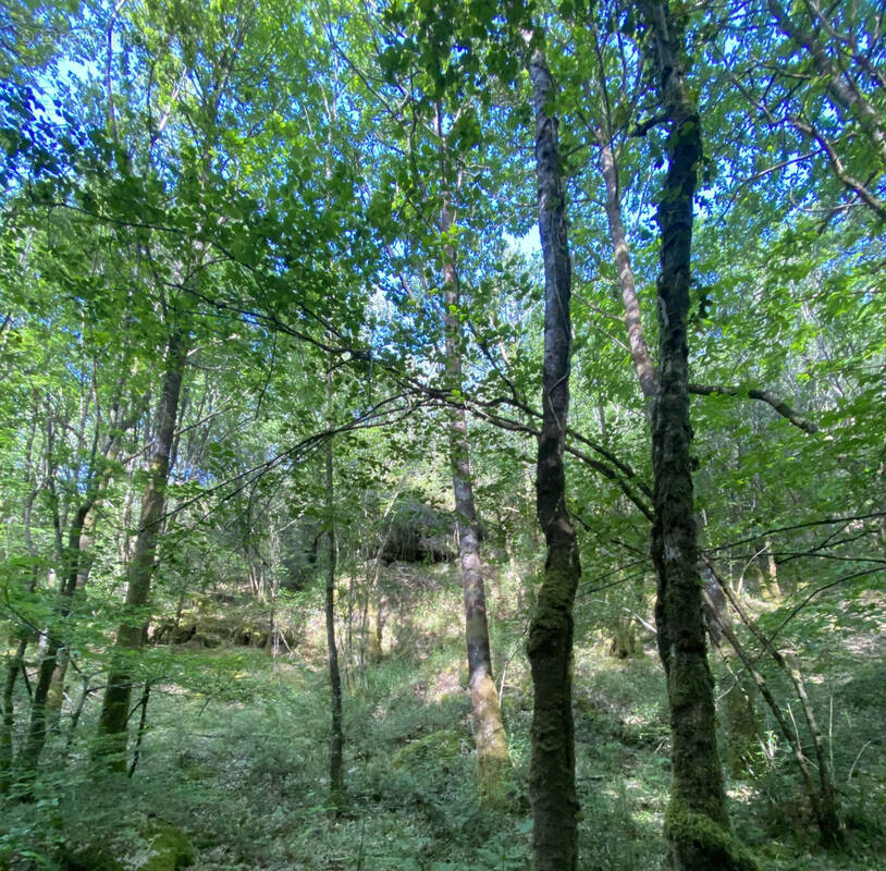 Terrain à QUISTINIC