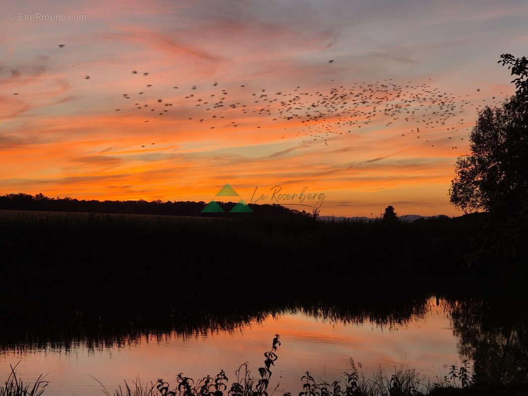 Terrain à VIEUX-FERRETTE