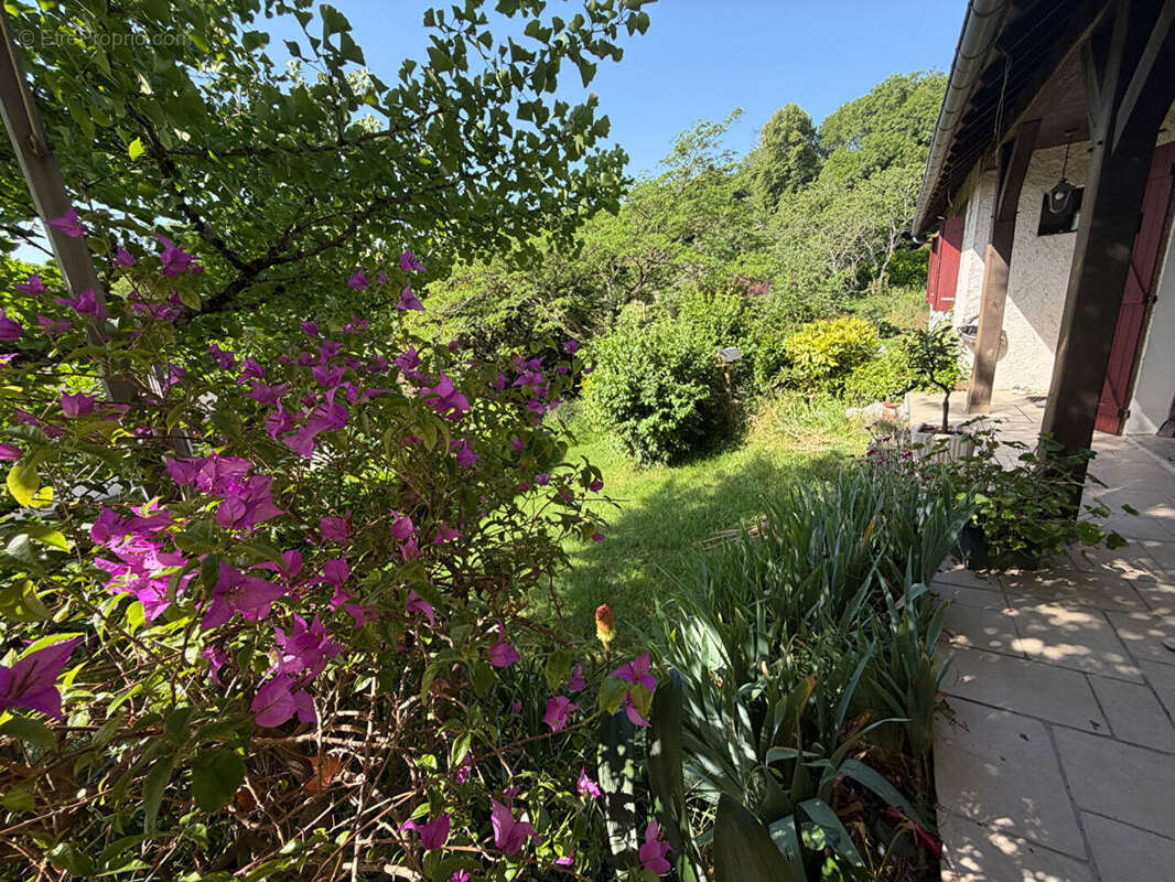 Villa 5 chambres - photo 17