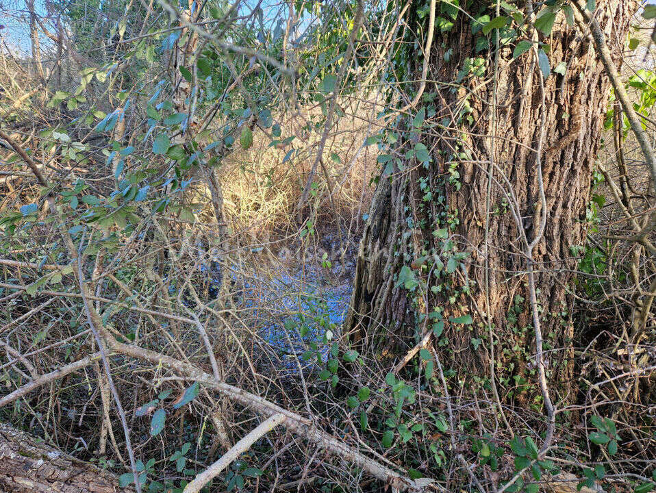 Terrain à SAINT-POURCAIN-SUR-SIOULE
