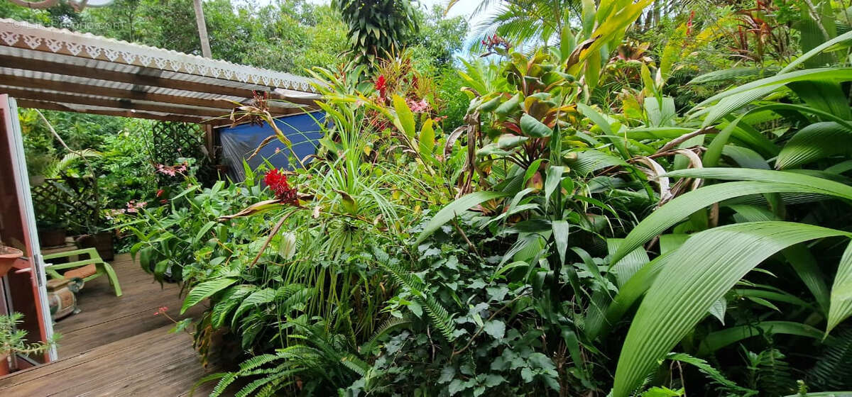 Maison à PETITE-ILE