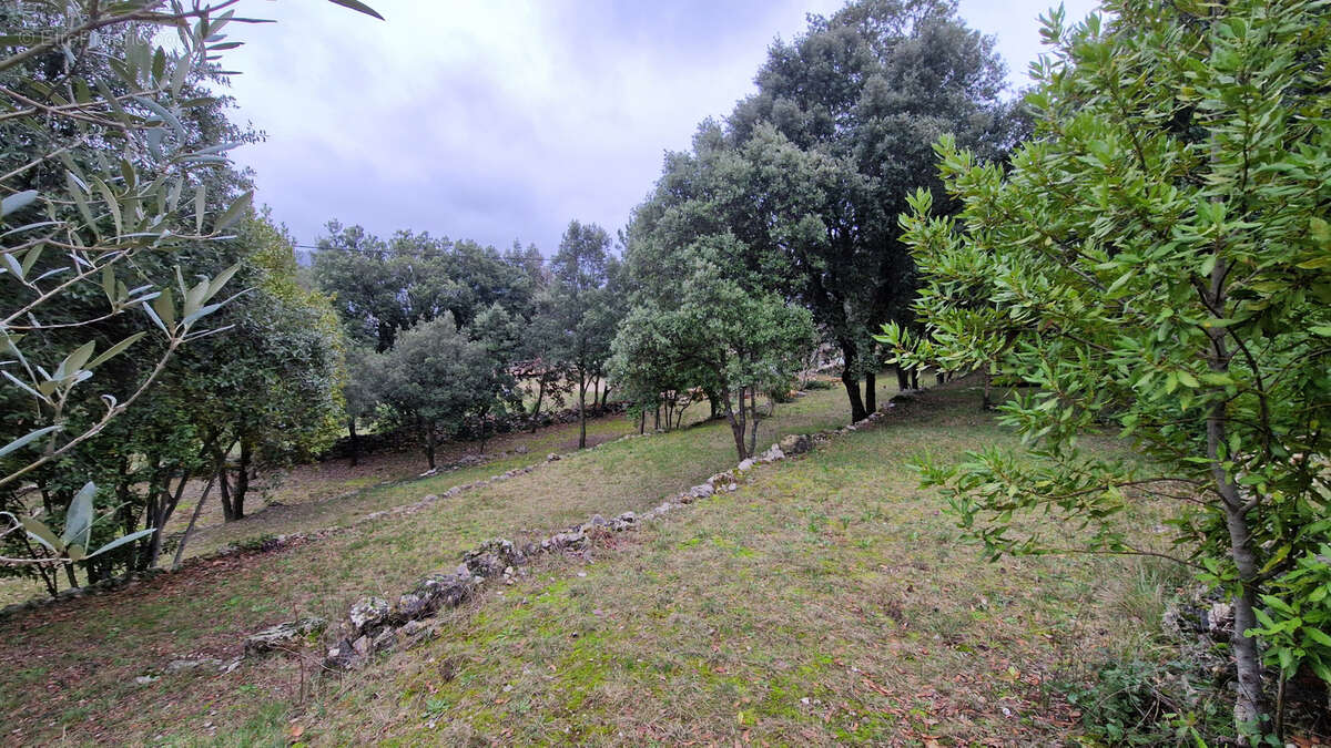 Terrain à LODEVE