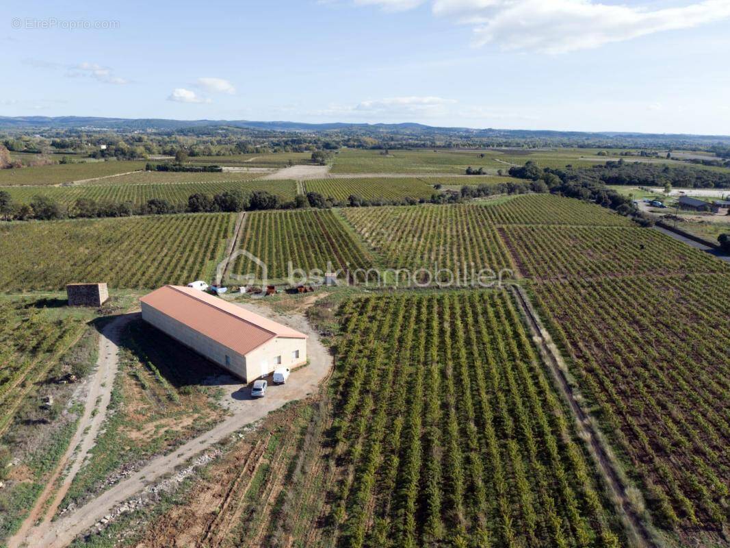 Maison à CLERMONT-L&#039;HERAULT