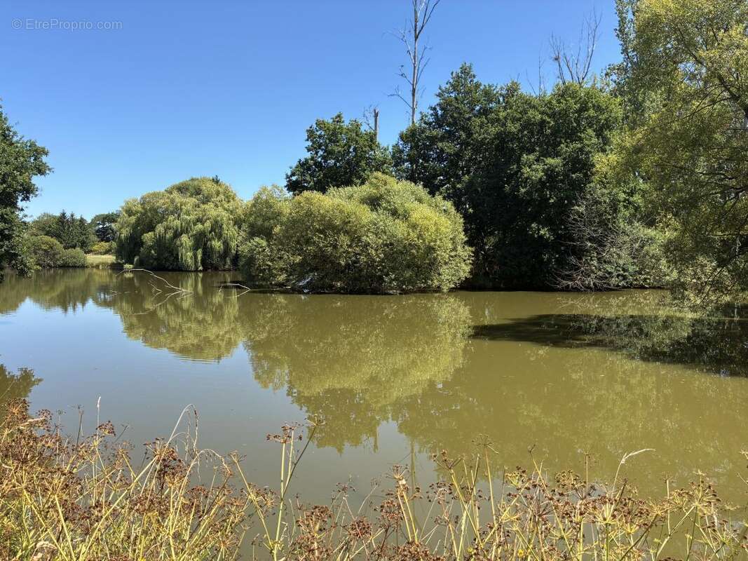 Terrain à LA BAZOUGE-DES-ALLEUX