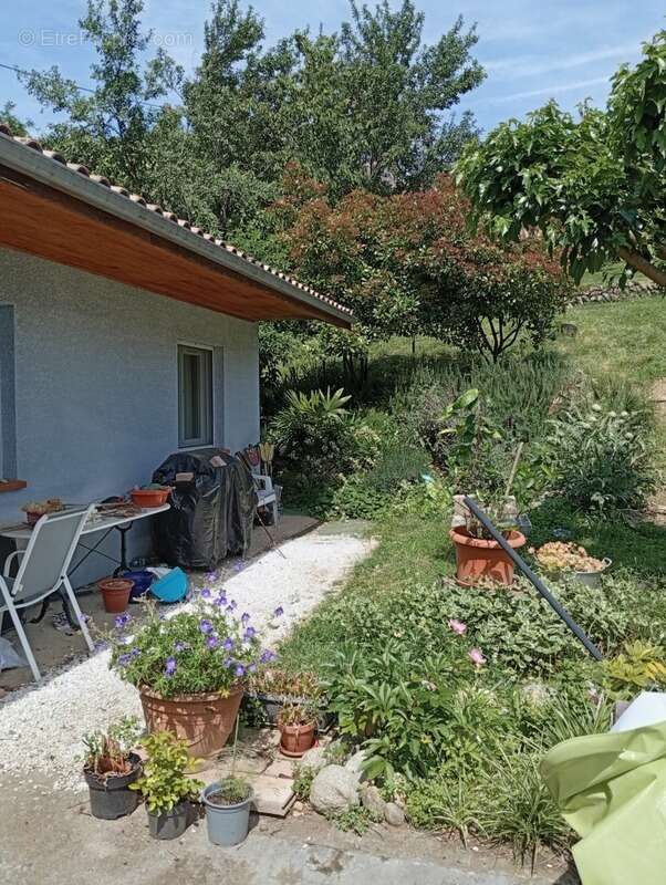 Maison à SAINT-JEAN-DU-FALGA