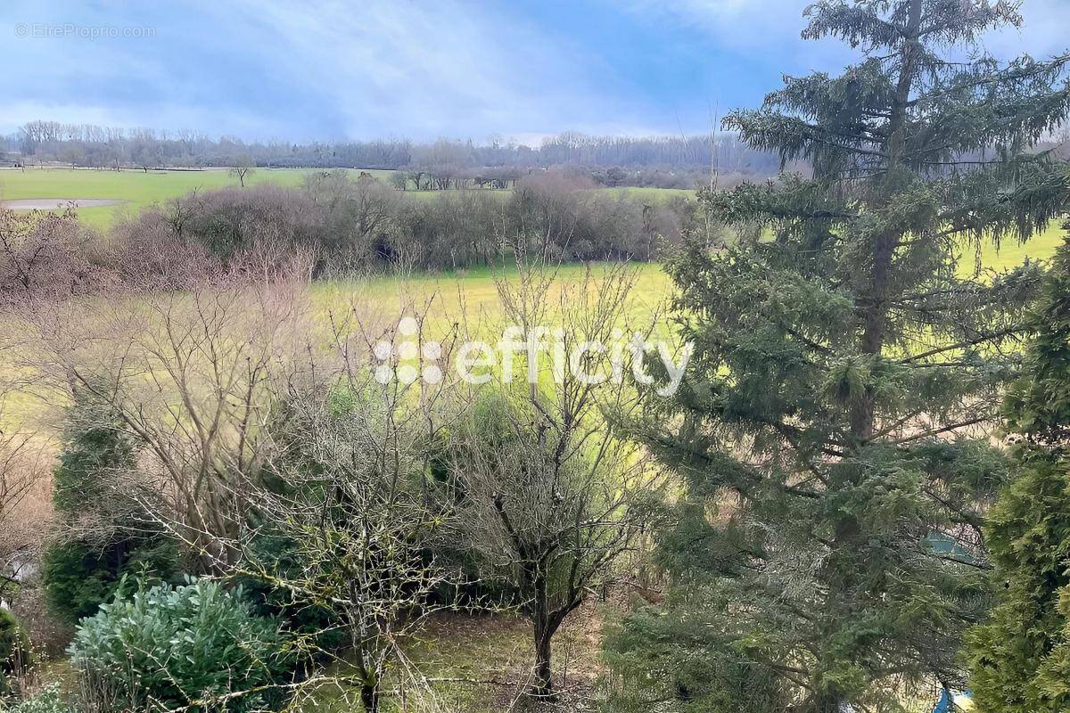 Appartement à SELTZ