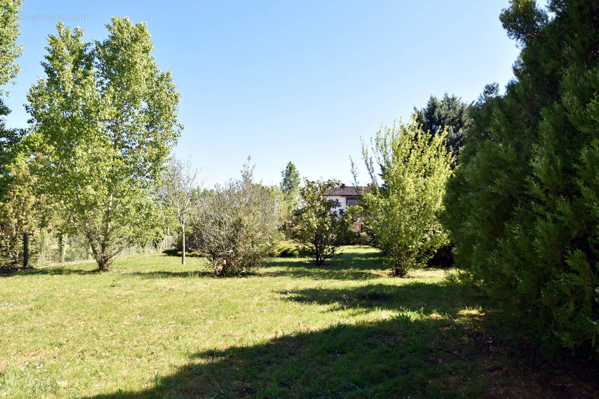Terrain à MONTAUBAN