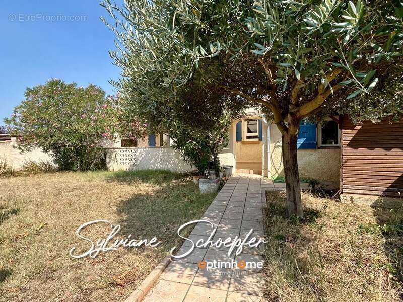 Maison à SAINT-PAUL-TROIS-CHATEAUX