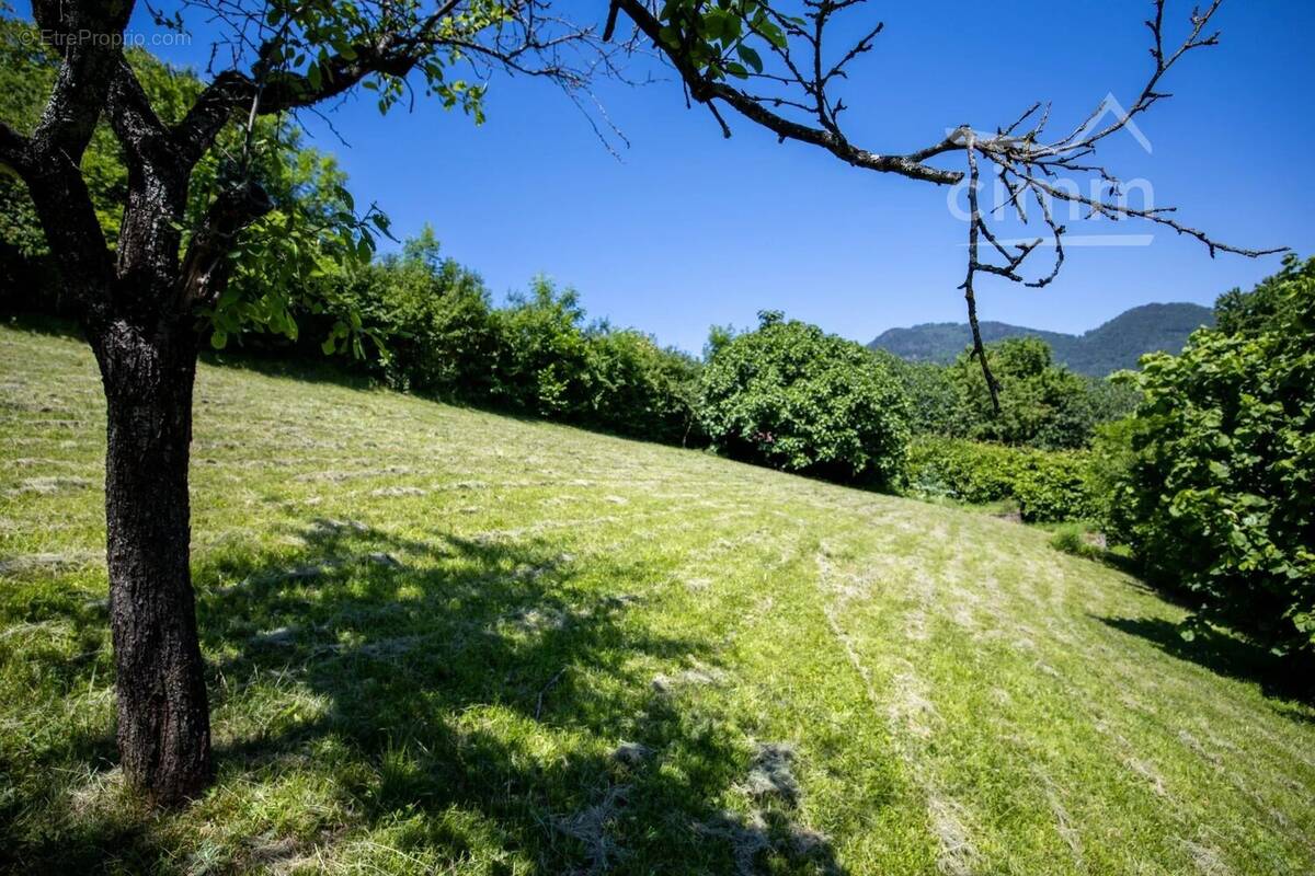 Terrain à MORETEL-DE-MAILLES