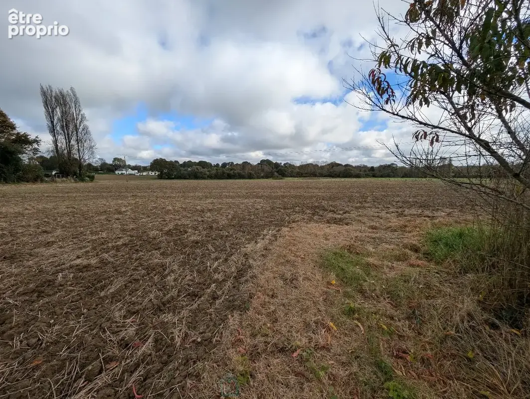 Longère en pierre avec dépendances sur 5 hectares  Charme et potentiel à la campagne - photo 14