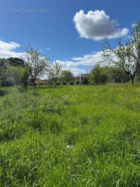 Terrain à LE BURGAUD