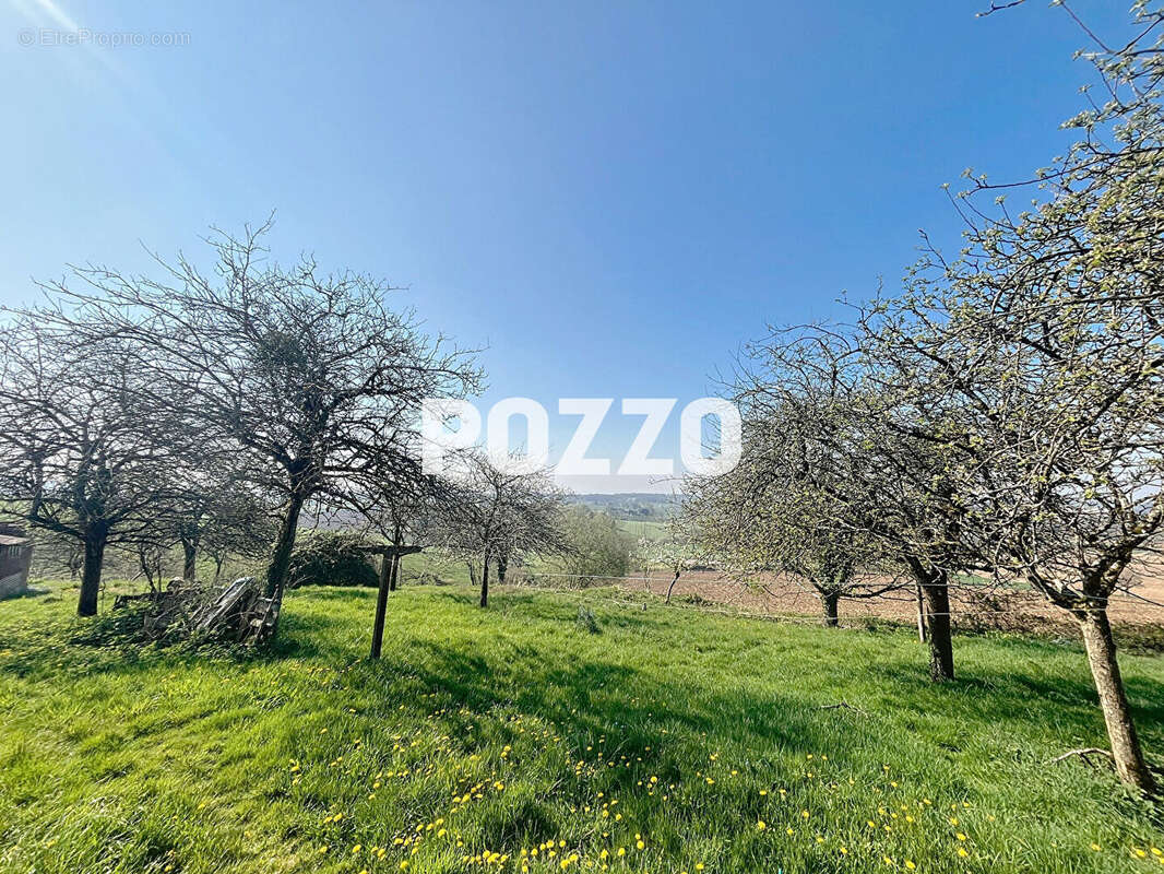 Maison à JUVIGNY-LE-TERTRE