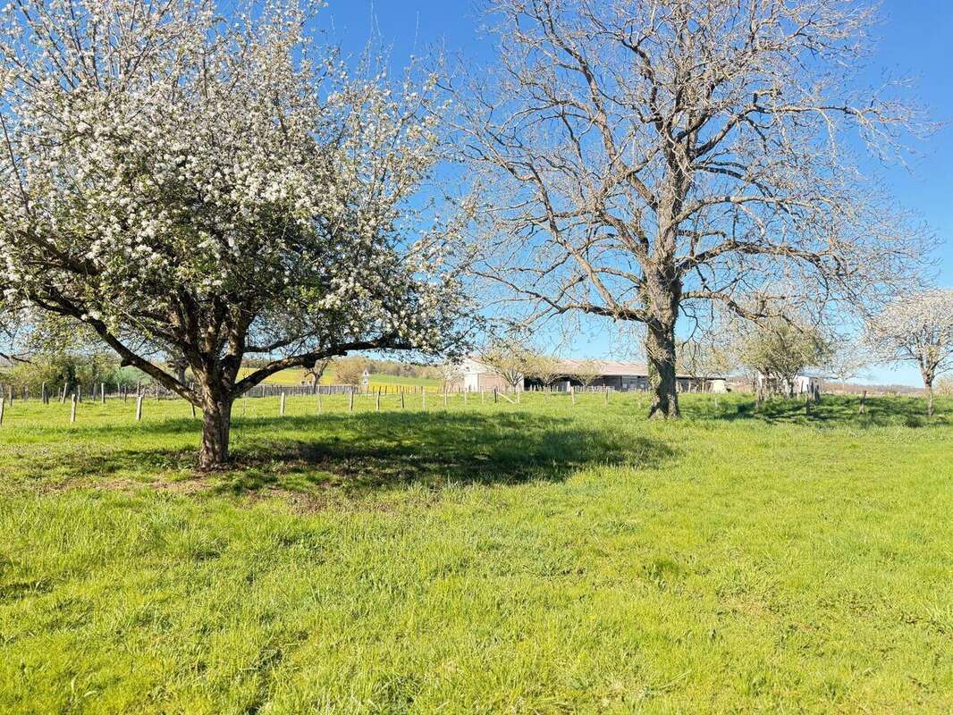 Photo 4 - Terrain à BUTHIERS