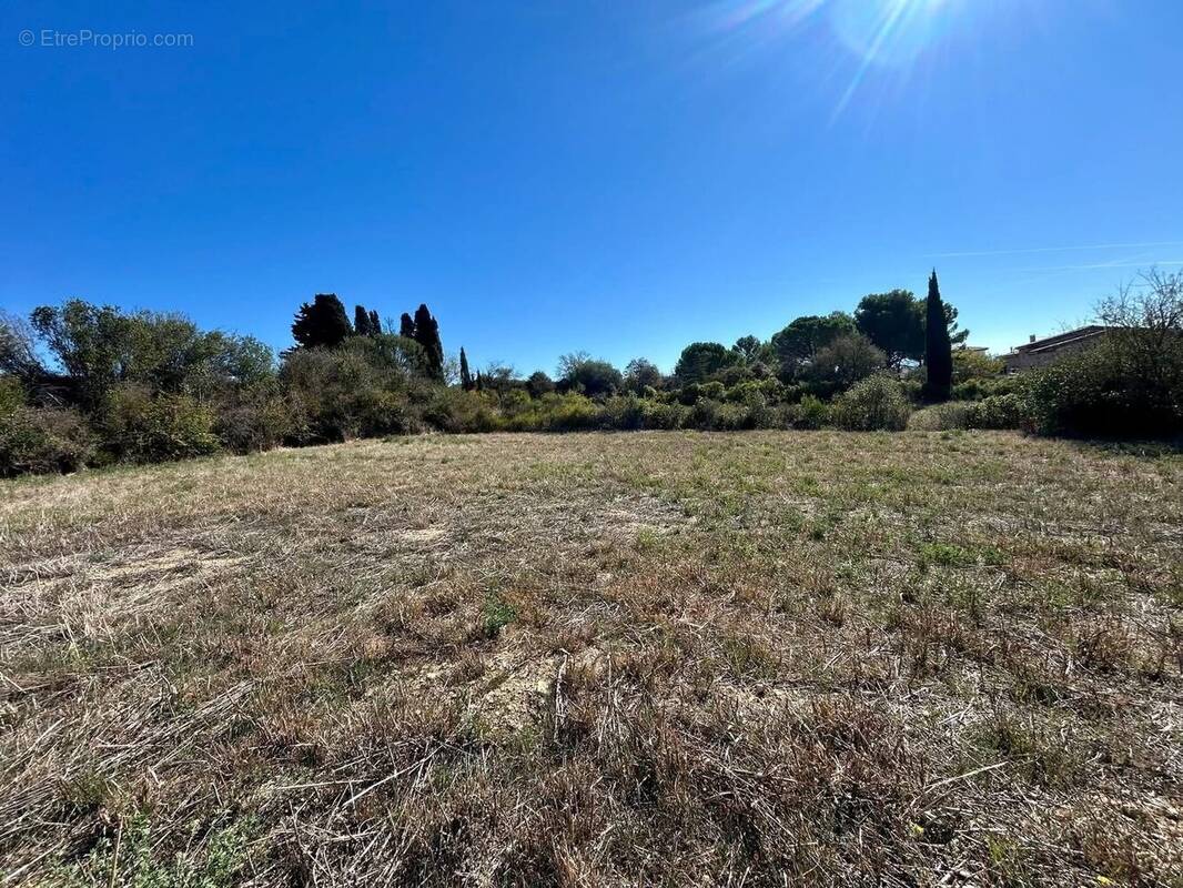 Terrain à VILLEGAILHENC