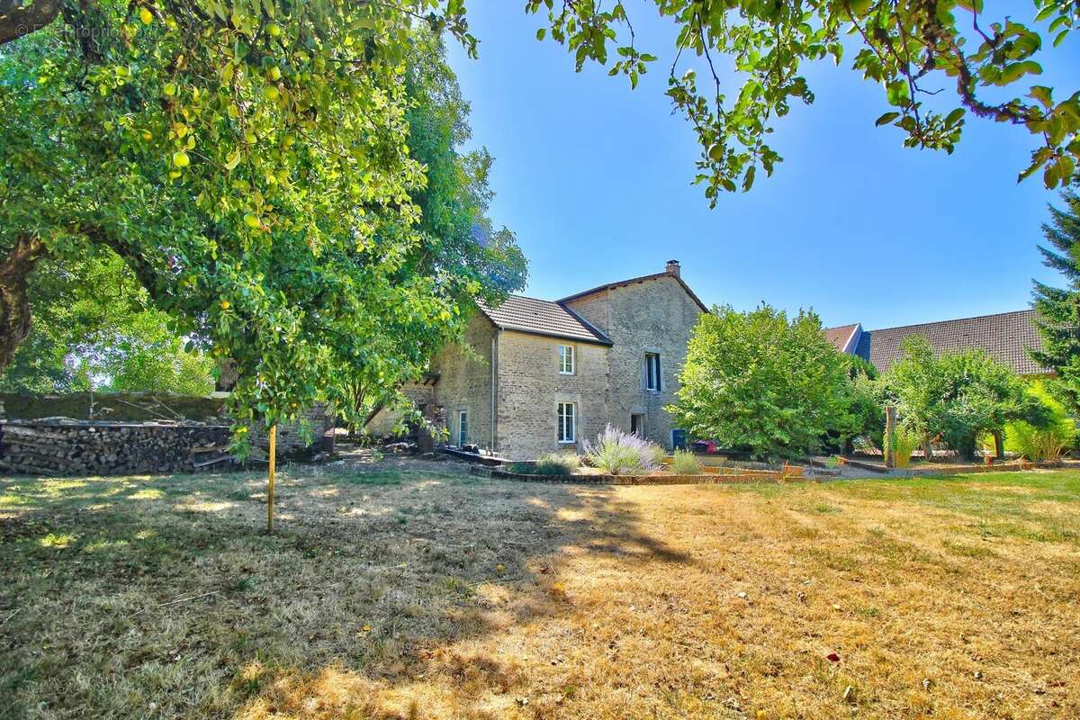 Maison 320 m², 5 chambres - photo 2