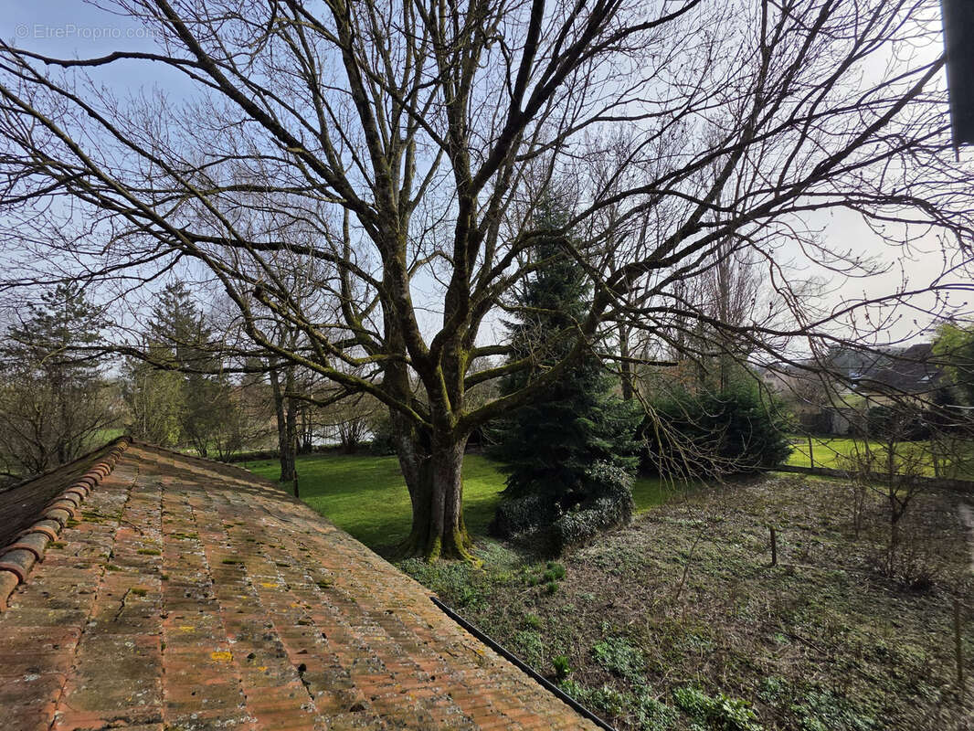 Maison à WOLFERSDORF