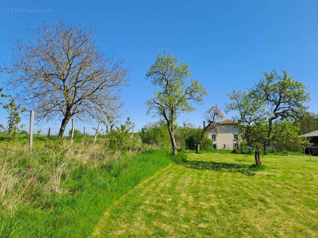 Ancien Corps de ferme de caractère avec dépendances – Terrain de 5960 m² – Proche Belgique & Luxembourg - photo 9