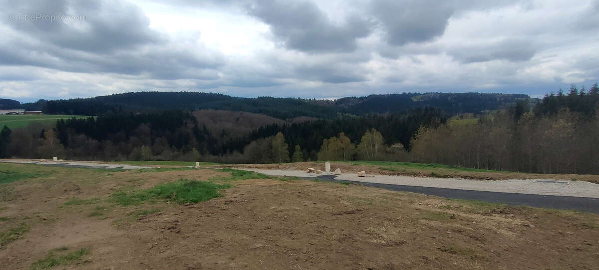 Terrain à SAINT-ROMAIN-LES-ATHEUX