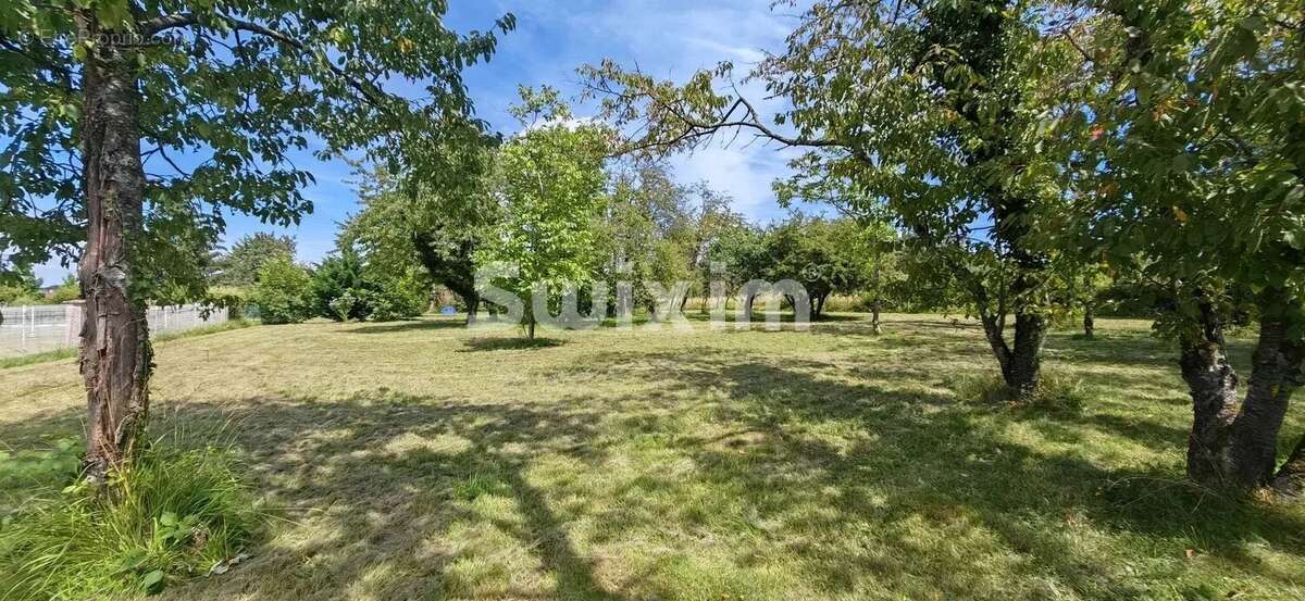 Terrain à CHAMPVANS