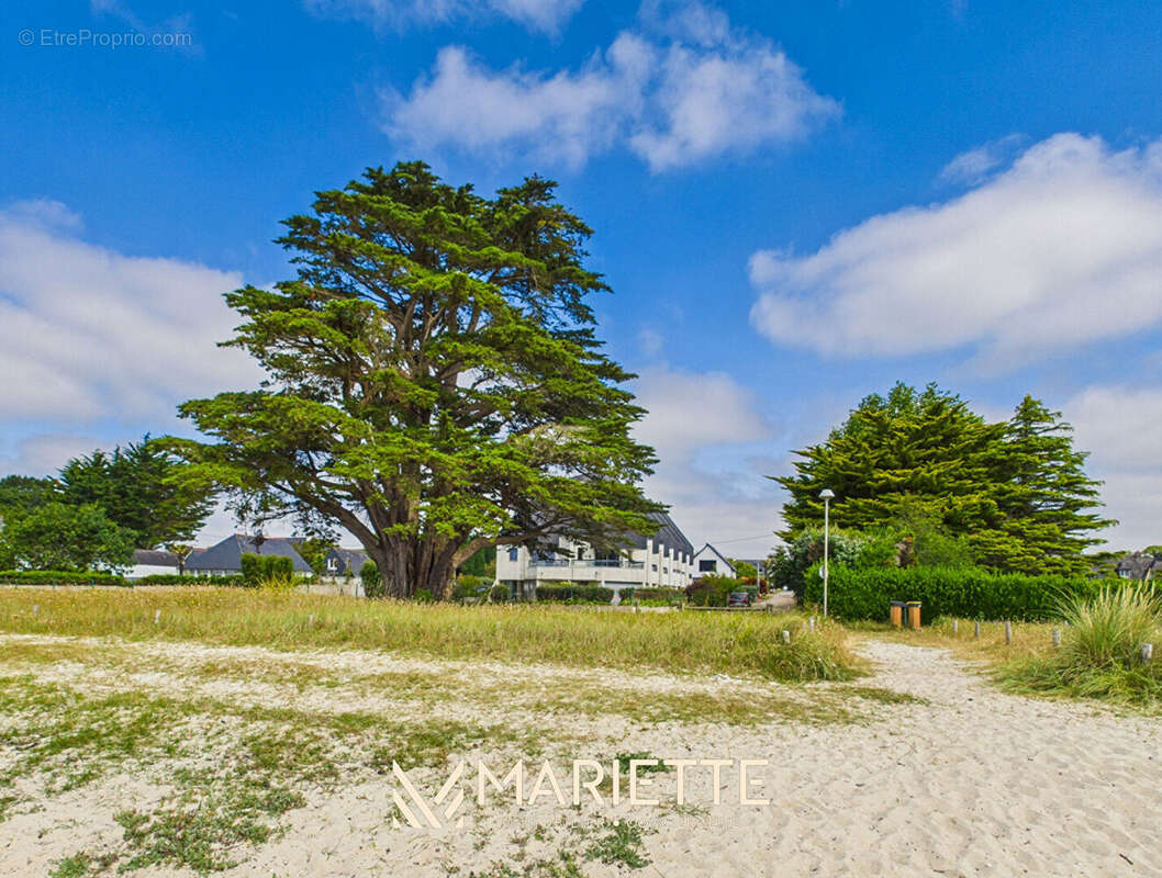 Appartement à LA FORET-FOUESNANT