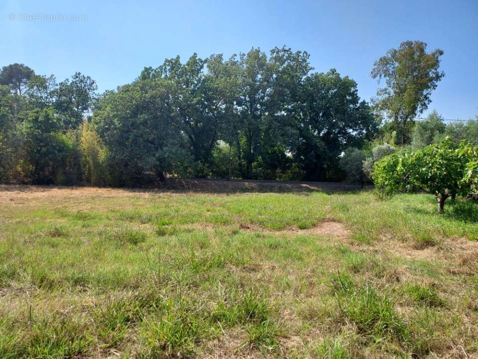 Terrain à PUGET-SUR-ARGENS