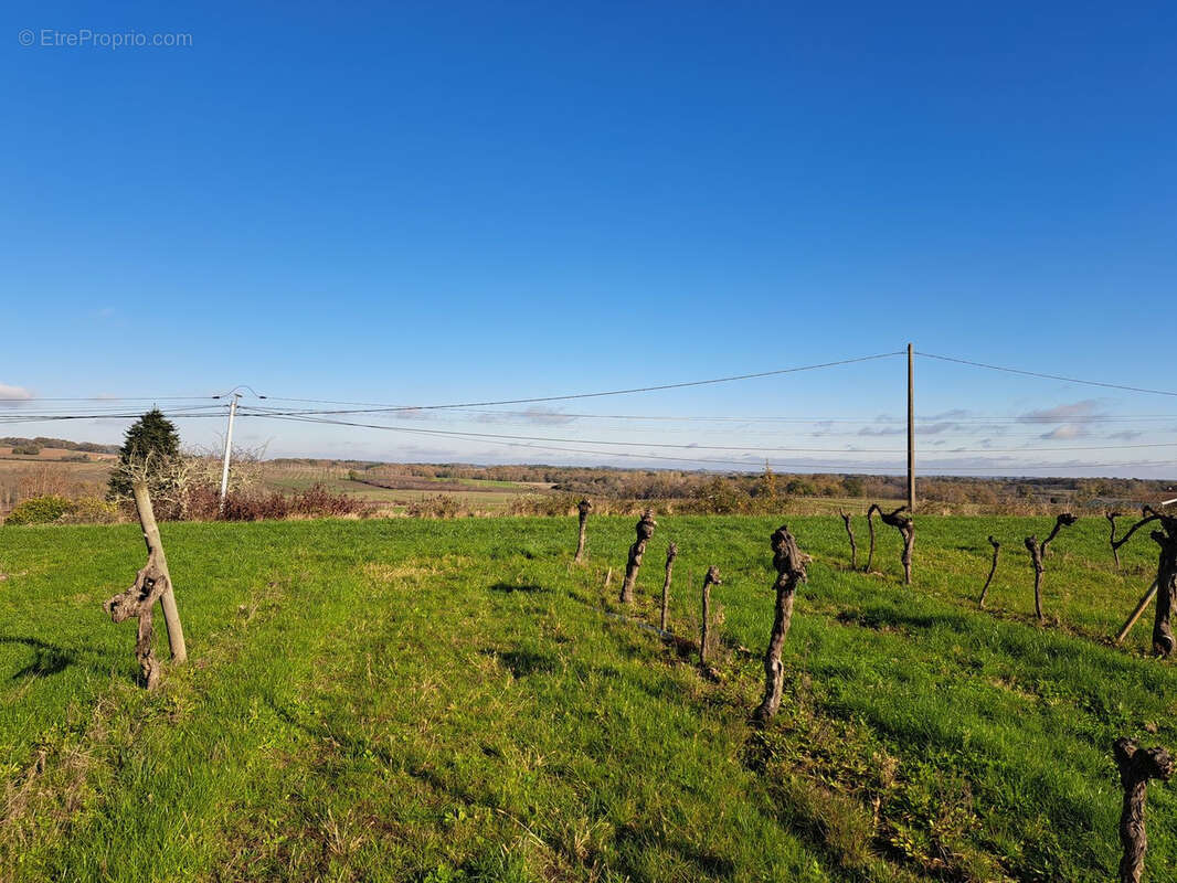 Terrain à SAINT-MACAIRE